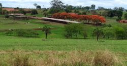 Fazenda 201 alqueires – São José do Rio Preto – São Paulo