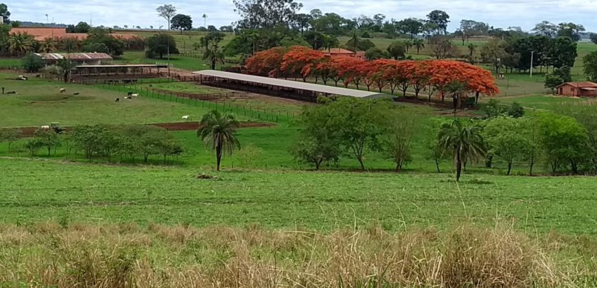 Fazenda 201 alqueires – São José do Rio Preto – São Paulo