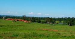 Fazenda 201 alqueires – São José do Rio Preto – São Paulo