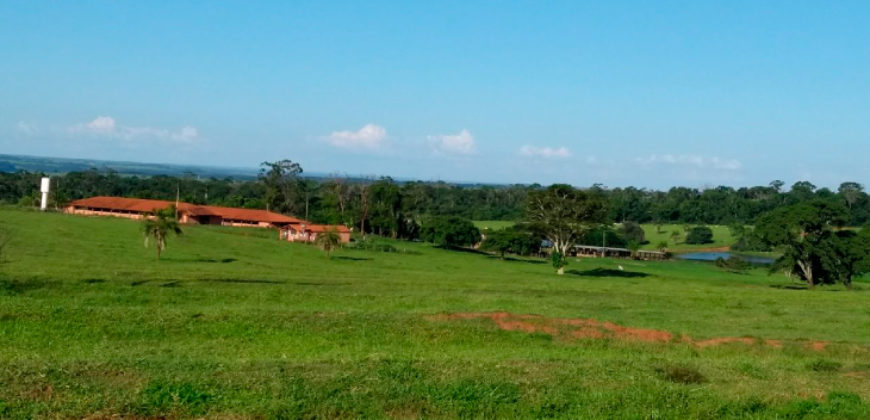 Fazenda 201 alqueires – São José do Rio Preto – São Paulo