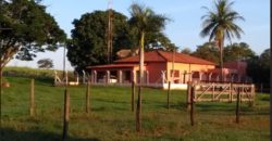 Fazenda 201 alqueires – São José do Rio Preto – São Paulo