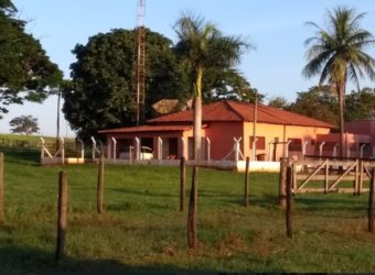 Fazenda 201 alqueires – São José do Rio Preto – São Paulo