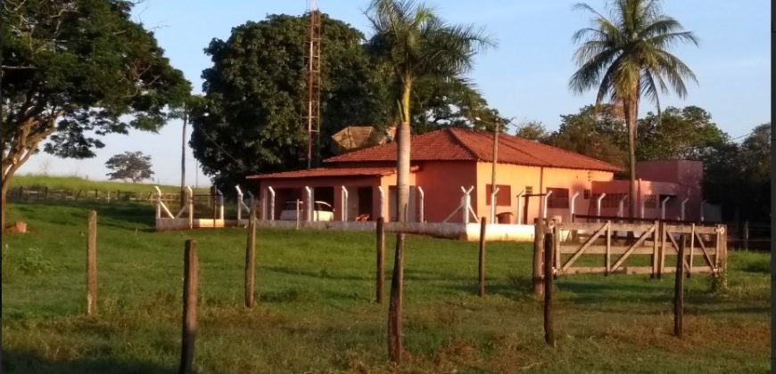 Fazenda 201 alqueires – São José do Rio Preto – São Paulo