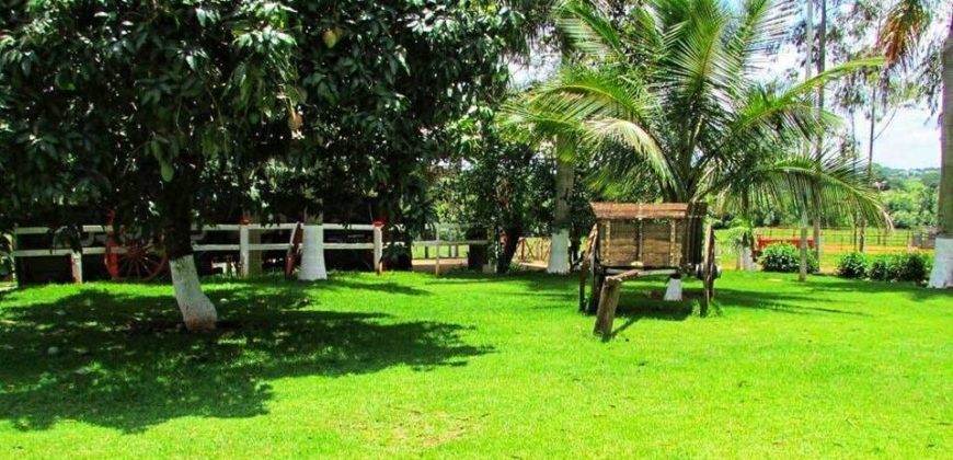 Fazenda 180.000,00 m² – Olimpia